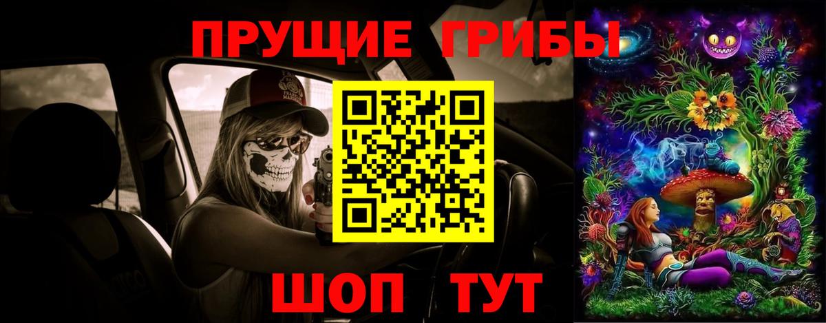 Псилоцибиновые грибы мицелий Дубна