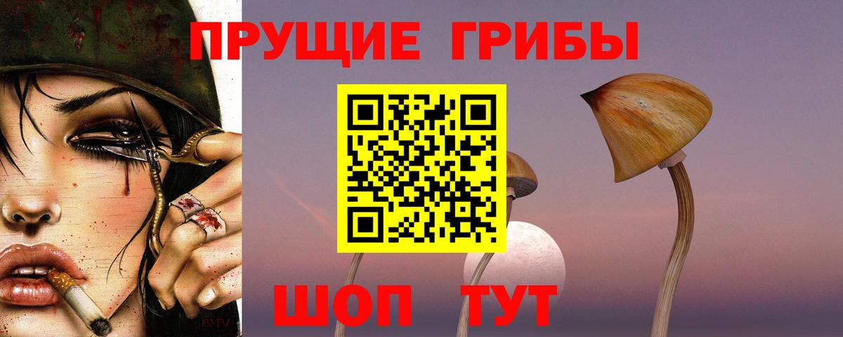Дубна  Галлюциногенные грибы прущие грибы  Вход с VPN 